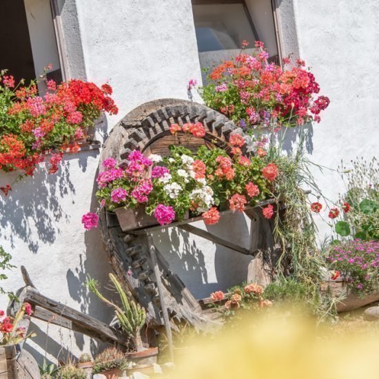 Impressionen vom Furnerhof in Steinegg & Umgebung