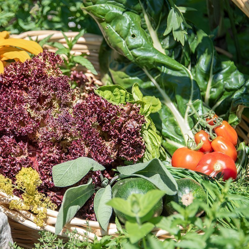 Hofprodukte Furnerhof | Hofeigene Produkte Südtirol