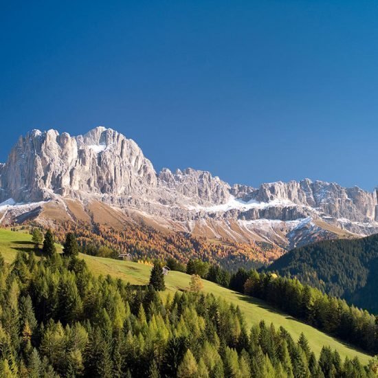 Impressionen vom Furnerhof in Steinegg & Umgebung